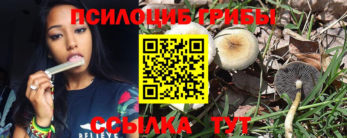 Галлюциногенные грибы Psilocybine cubensis  Вход с VPN  Лангепас 